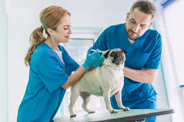Veterinarians